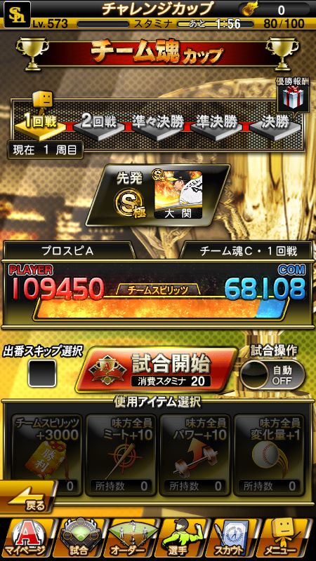 チャレンジカップの試合