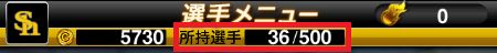 所持選手
